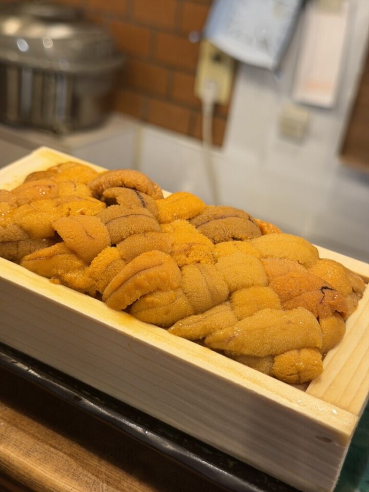雲丹にまぐろが主食になった日